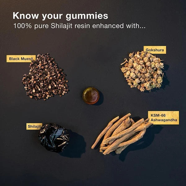 Pure Himalayan Shilajit Gold Gummies (LIMITED TIME OFFER)